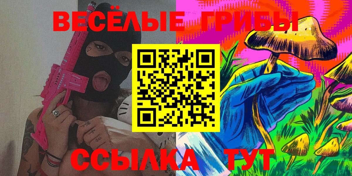 Энгельс  Псилоцибиновые грибы MAGIC MUSHROOMS  Вход с VPN 